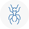 Ant Removals In Sutton Coldfield