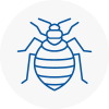 Bed Bug Extermination In Sutton Coldfield