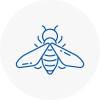 Bee Nest Removal Sutton Coldfield