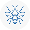 Sutton Coldfield Hornet Nest Removals