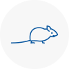 Mice Exterminators In Sutton Coldfield
