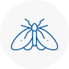 Moth Control Specialists In Sutton Coldfield