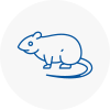 Rat Control Sutton Coldfield