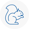 Sutton Coldfield Rodent Removals