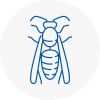 Sutton Coldfield Wasp Nest Removal